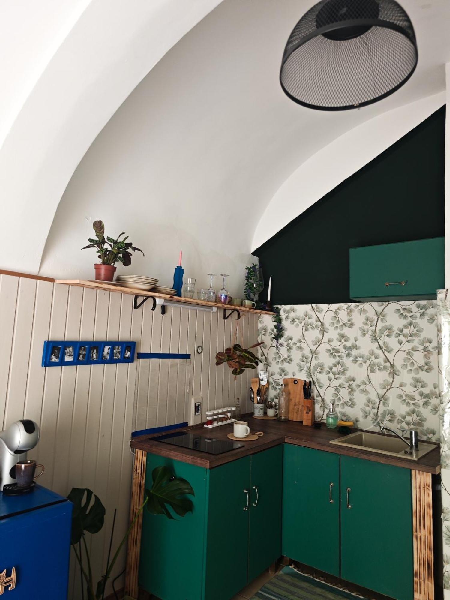 Vintage Room With Garden View Bratislava Luaran gambar