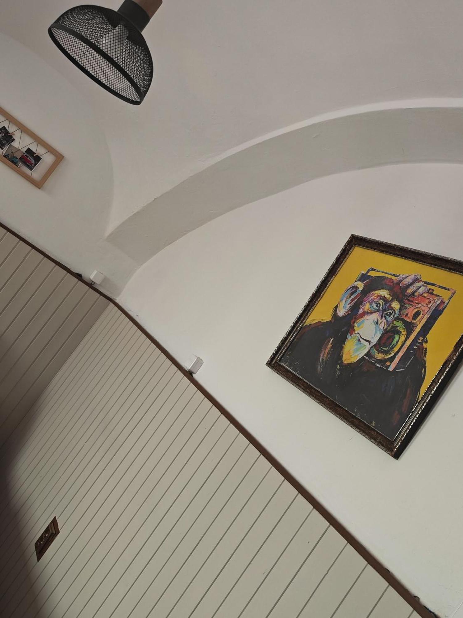 Vintage Room With Garden View Bratislava Luaran gambar