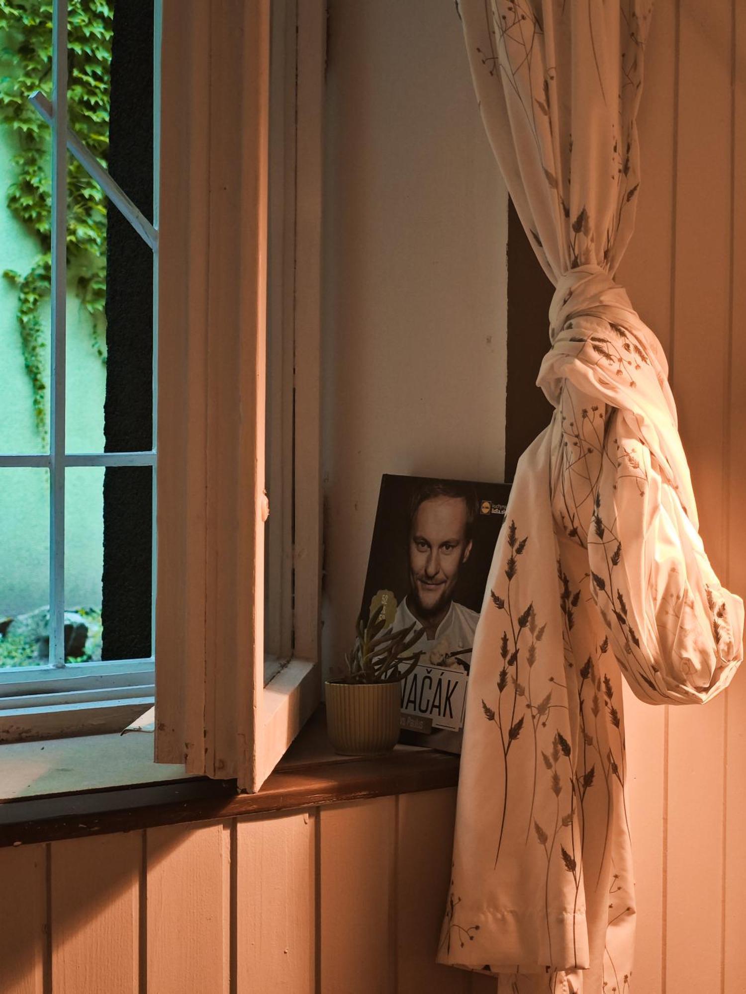 Vintage Room With Garden View Bratislava Luaran gambar