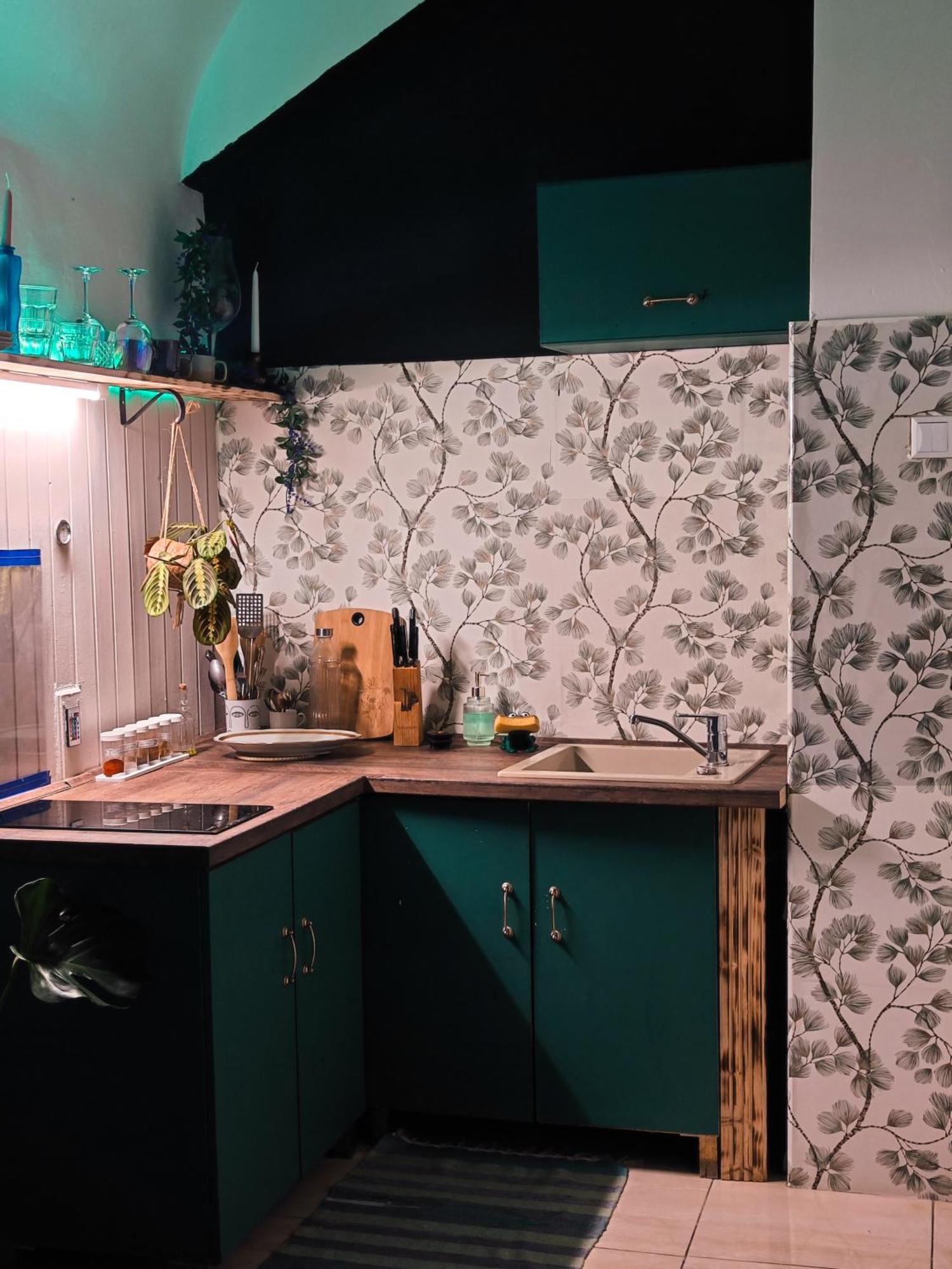 Vintage Room With Garden View Bratislava Luaran gambar