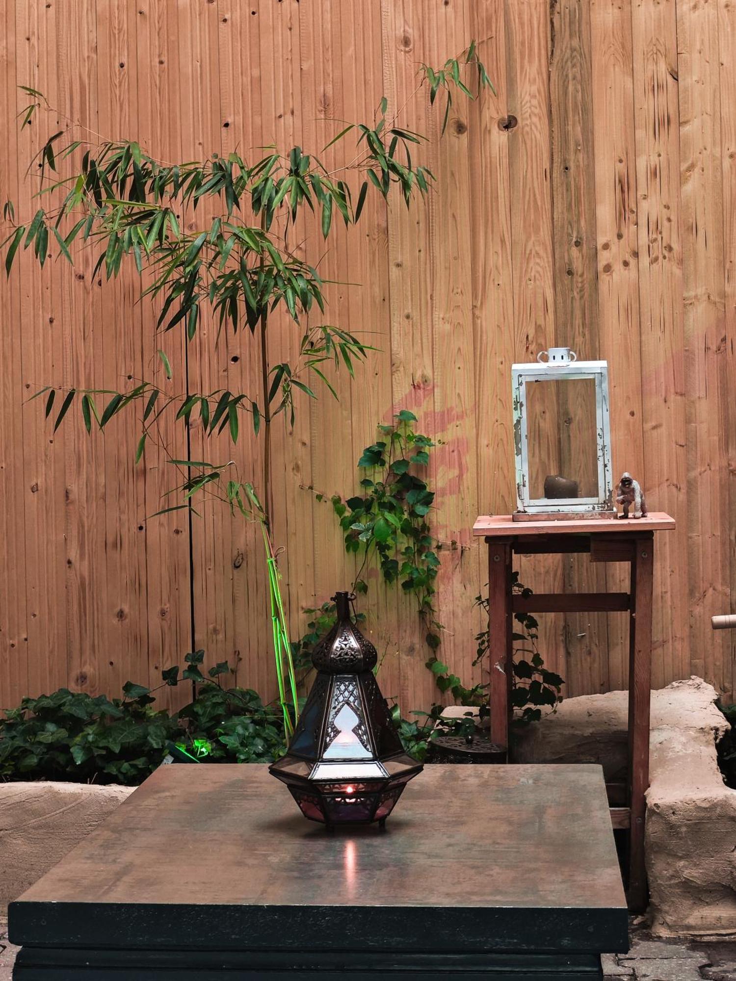Vintage Room With Garden View Bratislava Luaran gambar