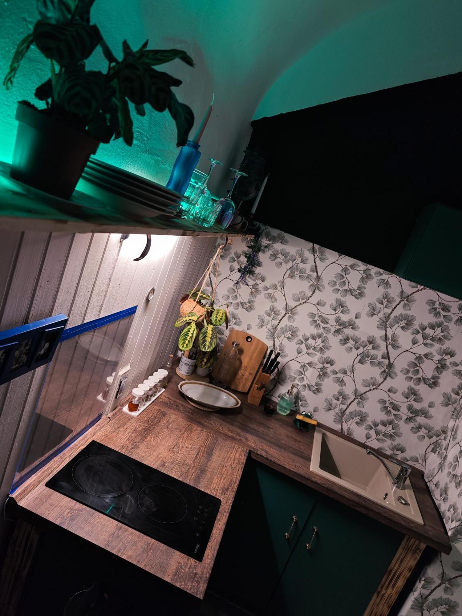 Vintage Room With Garden View Bratislava Luaran gambar