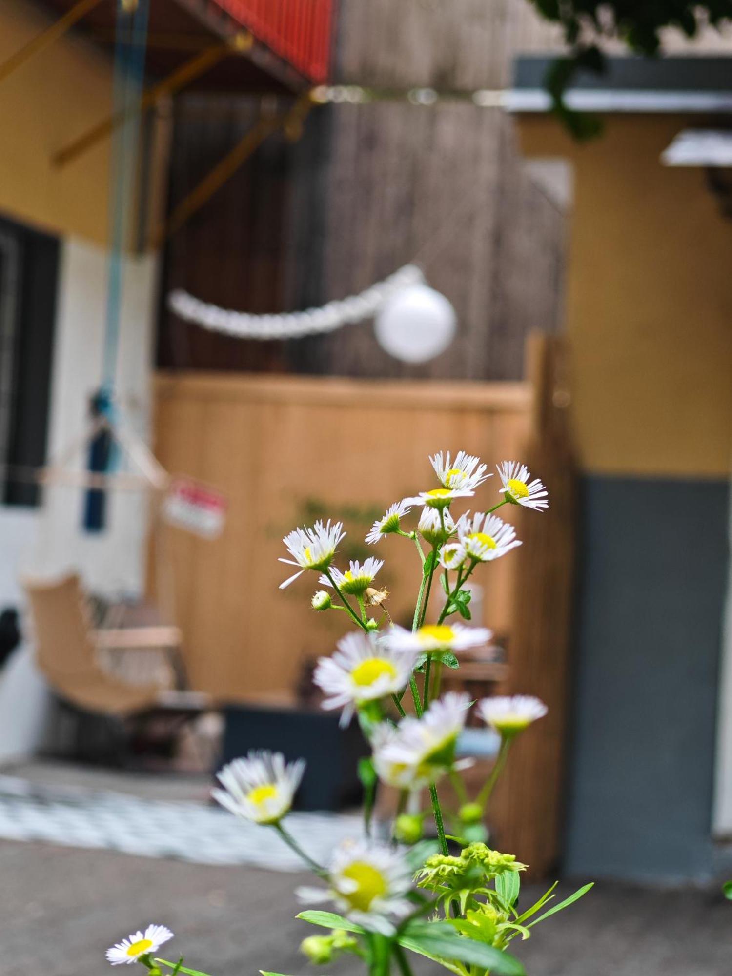 Vintage Room With Garden View Bratislava Luaran gambar