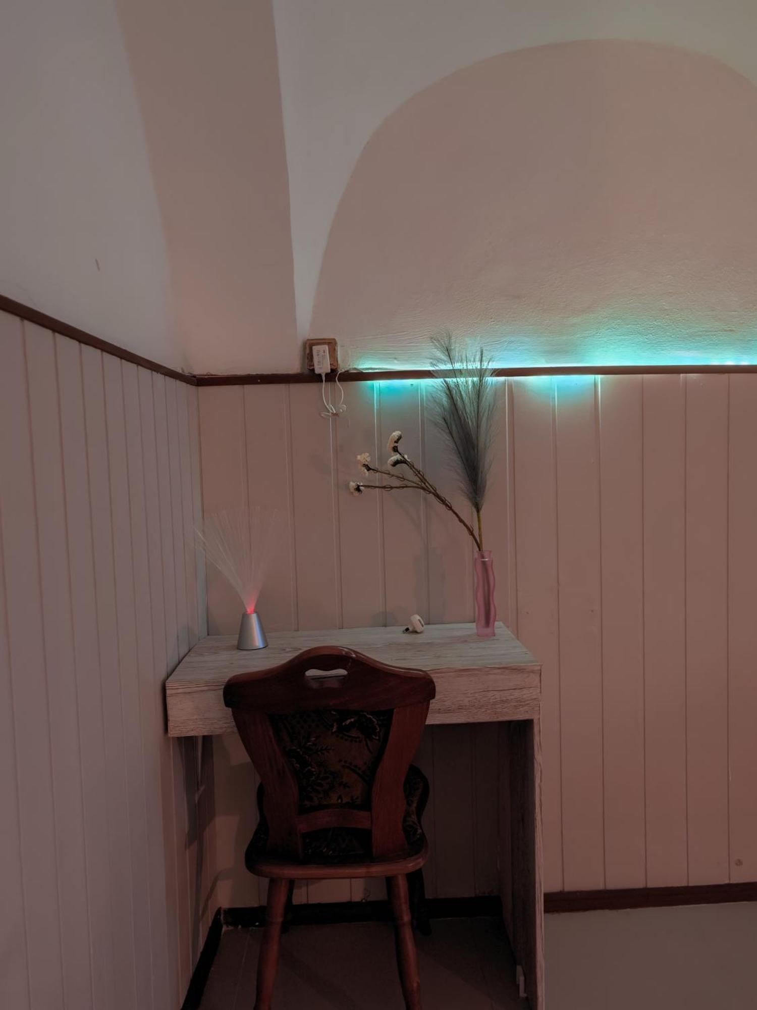 Vintage Room With Garden View Bratislava Luaran gambar