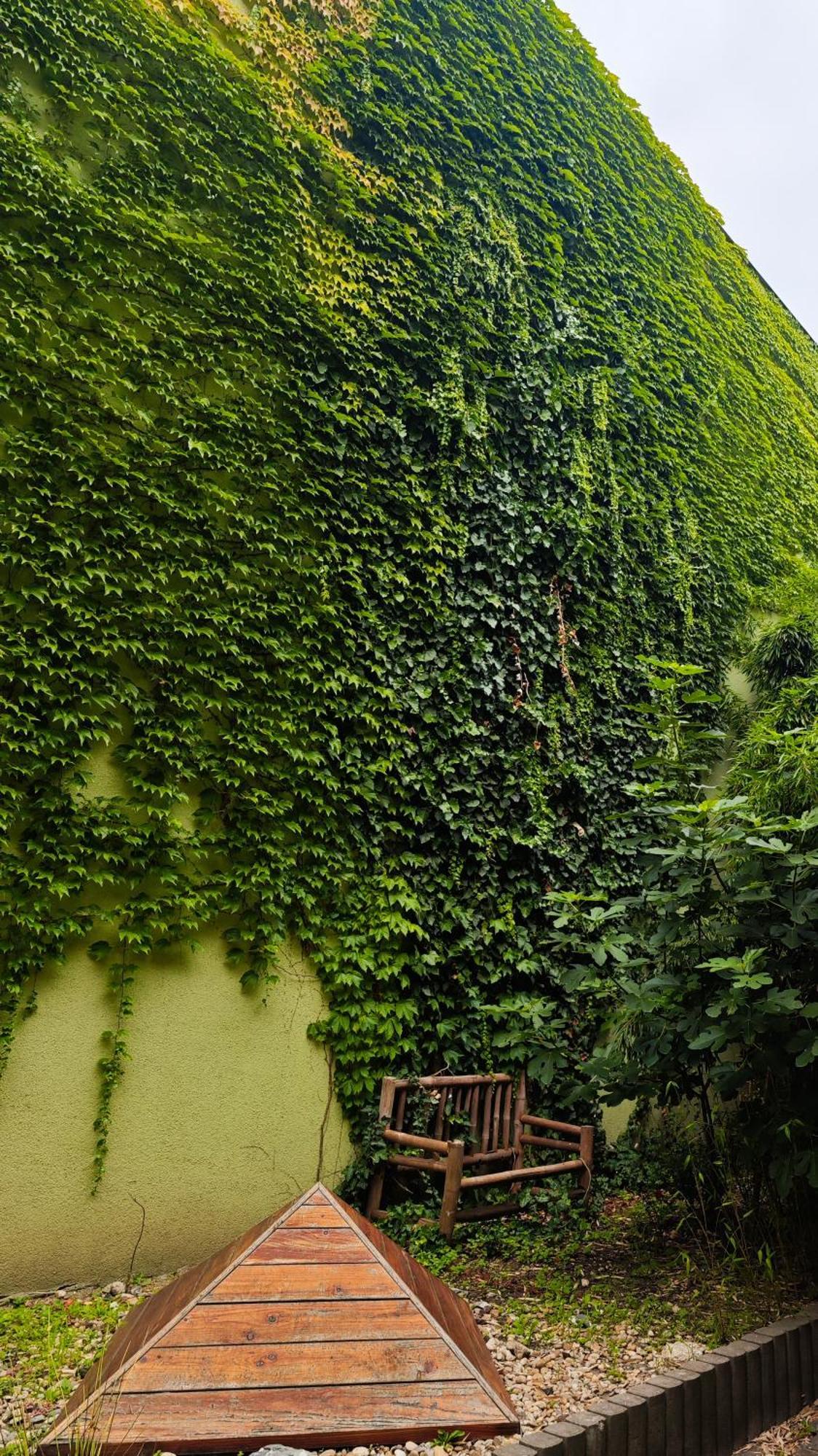 Vintage Room With Garden View Bratislava Luaran gambar